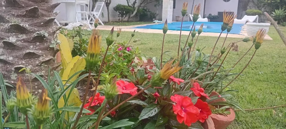 Casa, 3 quartos - Foto 20