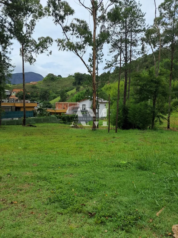 Terreno - Foto 3