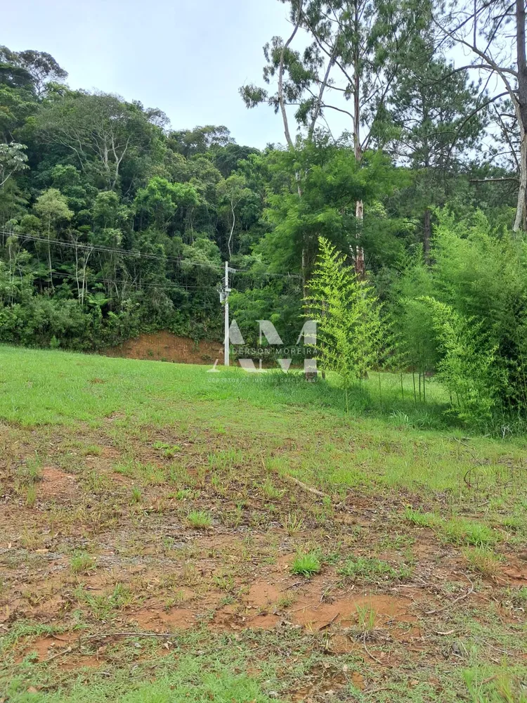 Terreno - Foto 6
