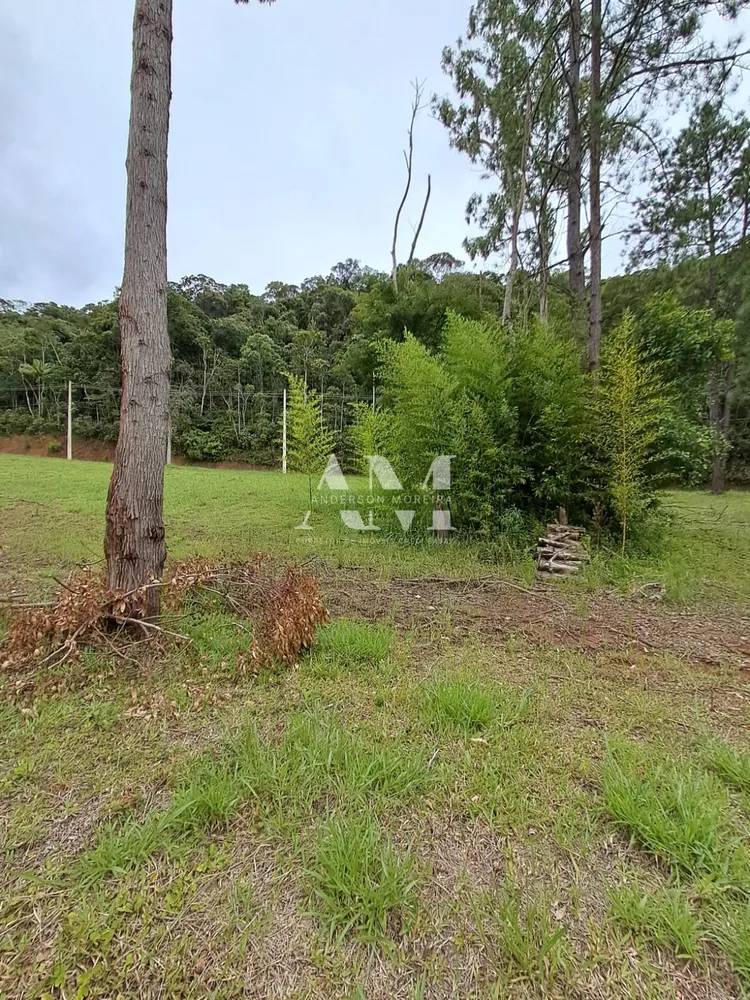 Terreno - Foto 4