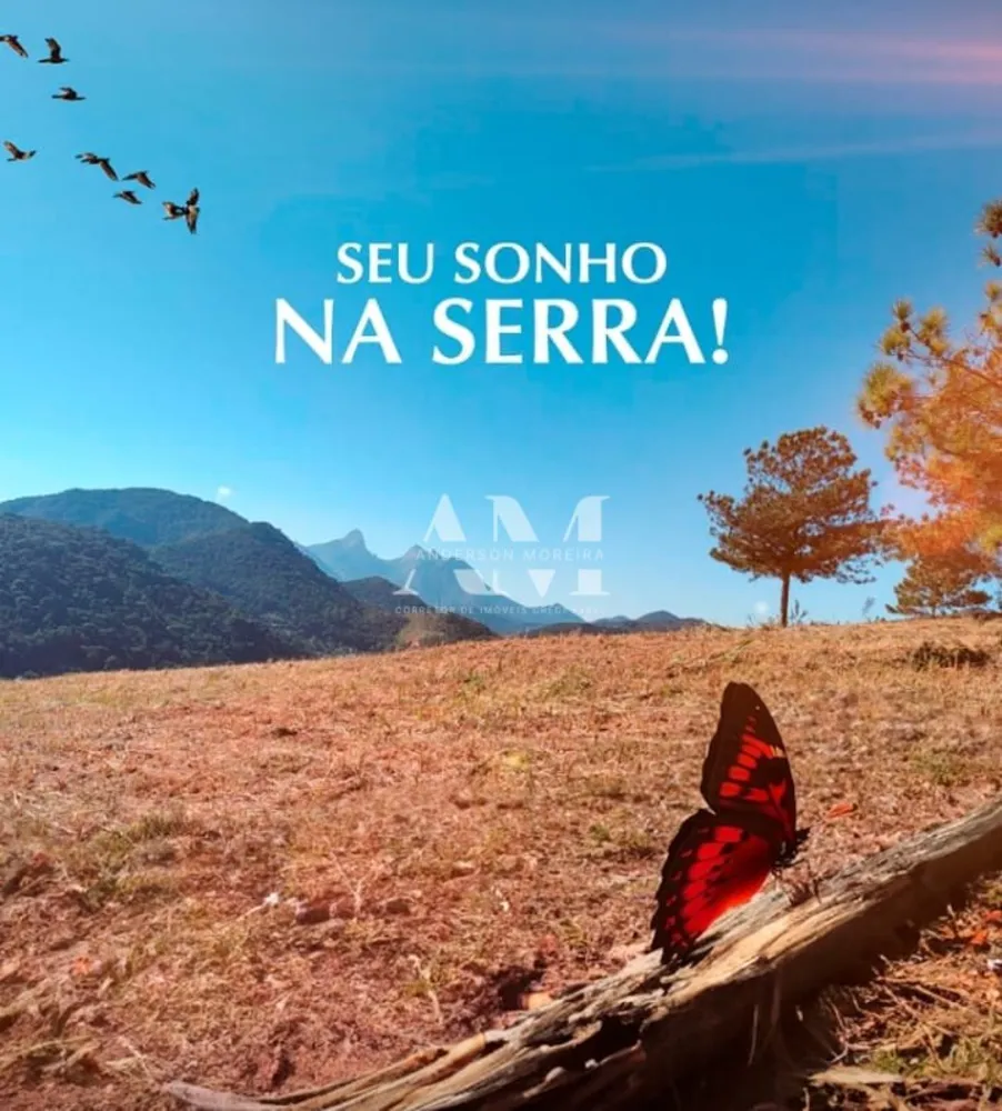 Terreno - Foto 4