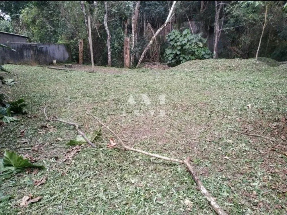 Terreno, 1996 m² - Foto 3