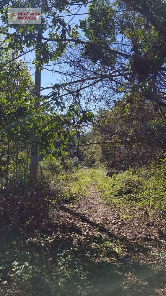 Terreno, 404 m² - Foto 4