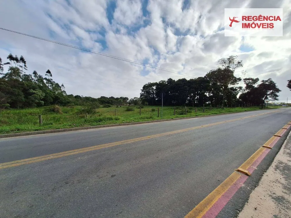 Terreno, 9000 m² - Foto 6