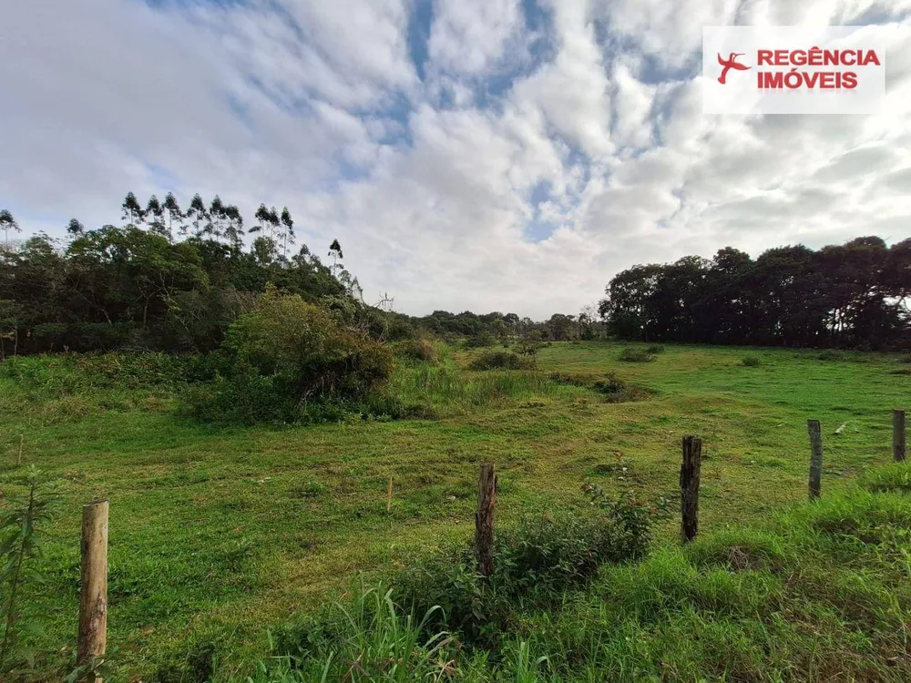 Terreno, 9000 m² - Foto 4