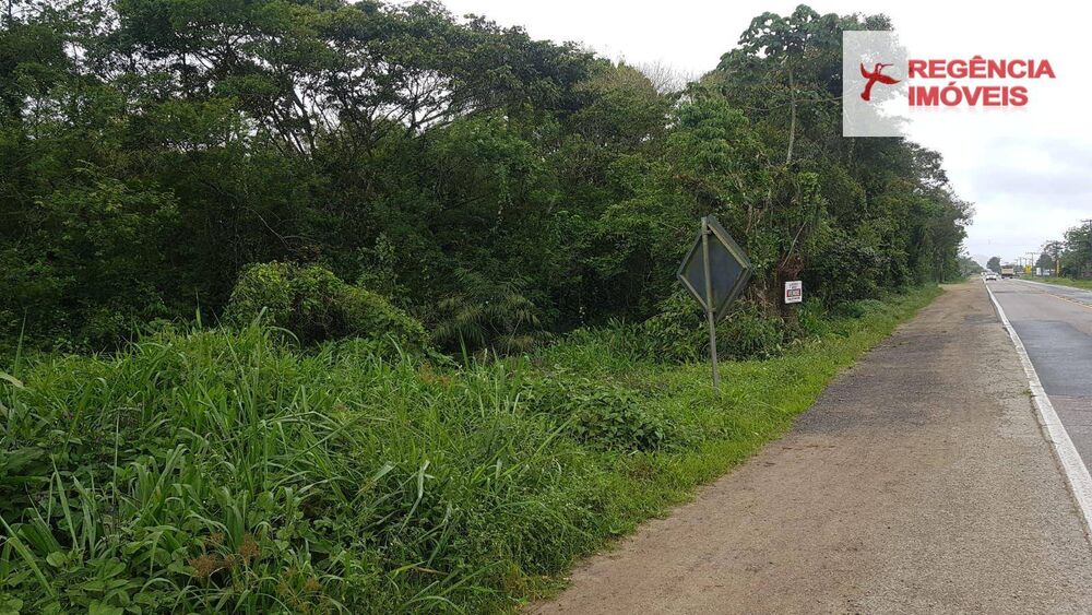 Terreno, 5 hectares - Foto 4