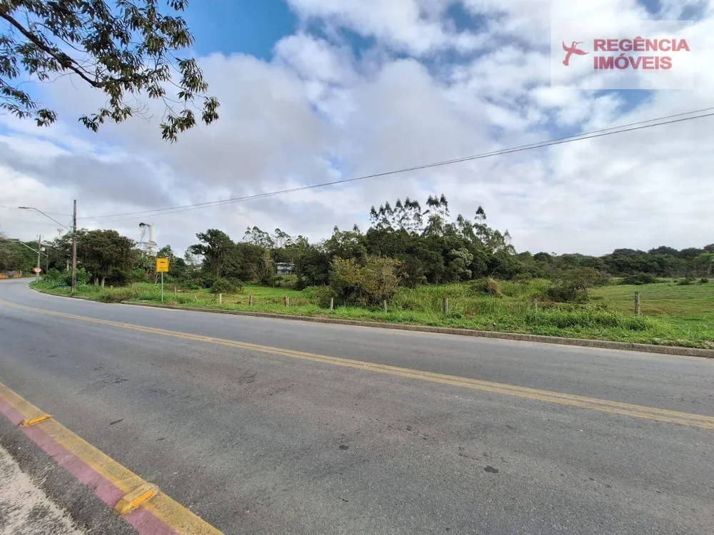 Terreno, 2 hectares - Foto 4