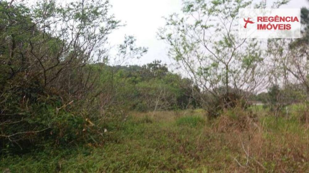 Terreno, 20 hectares - Foto 4