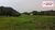 Terreno, 20 hectares - Foto 4