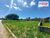 Terreno, 337 m² - Foto 6