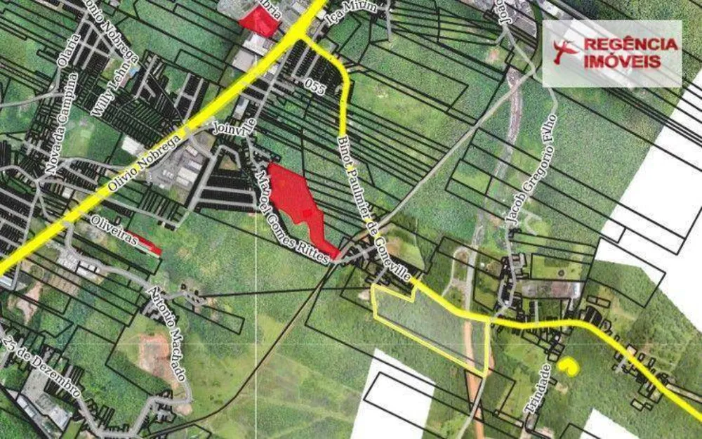Terreno, 16 hectares - Foto 3