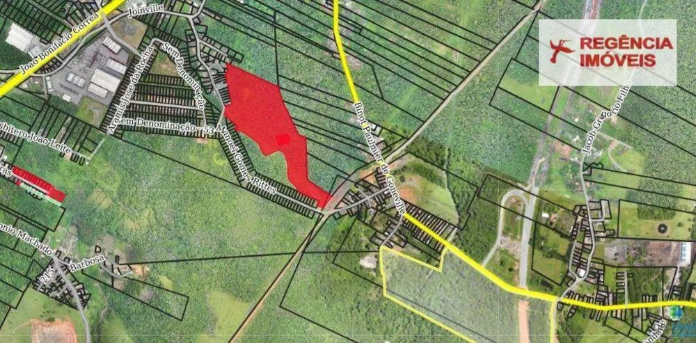 Terreno, 16 hectares - Foto 4