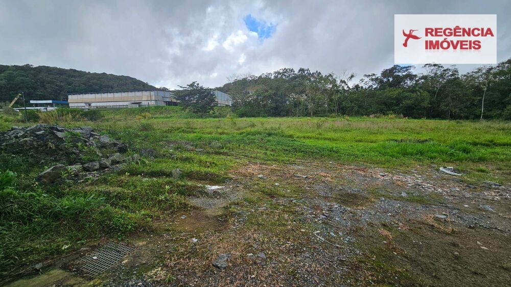 Depósito-Galpão-Armazém à venda, 3800m² - Foto 3