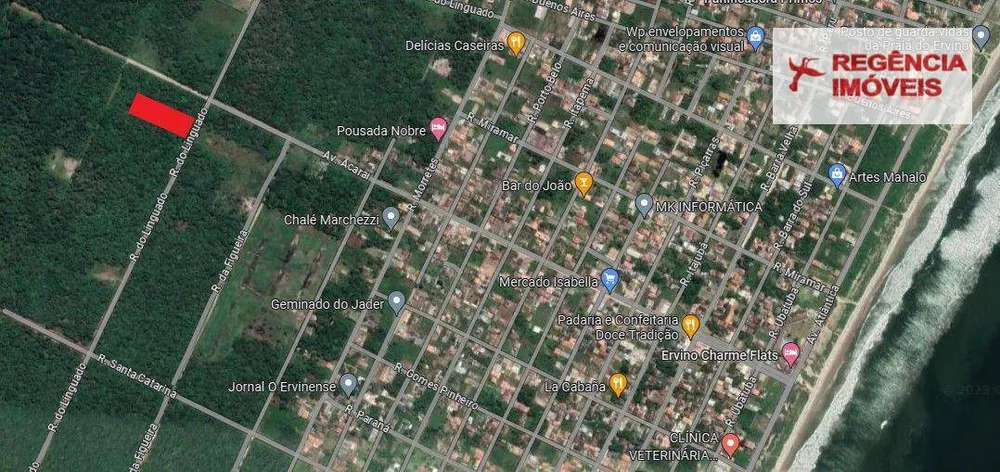 Terreno, 5000 m² - Foto 2