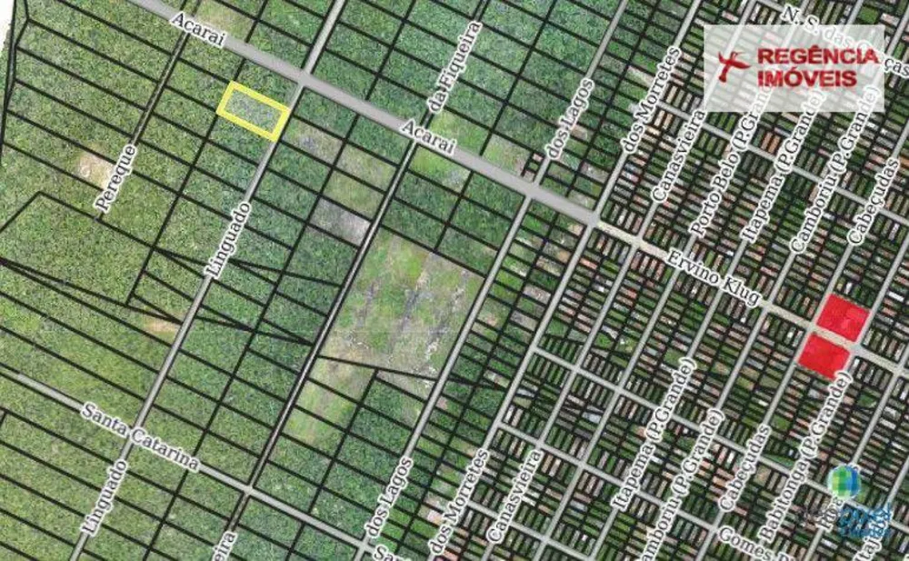 Terreno, 5000 m² - Foto 5