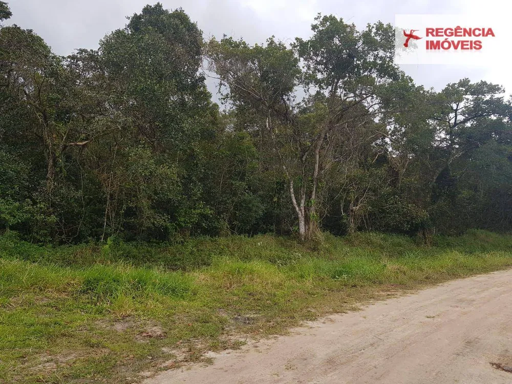 Terreno, 5000 m² - Foto 3