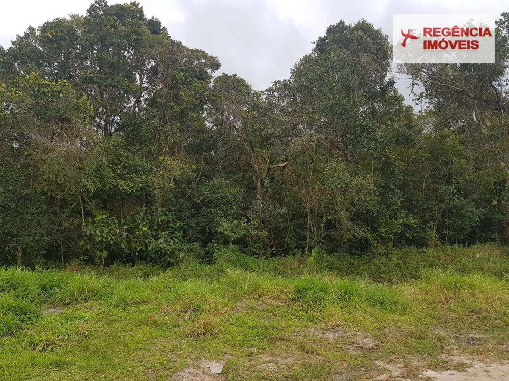 Terreno, 5000 m² - Foto 6