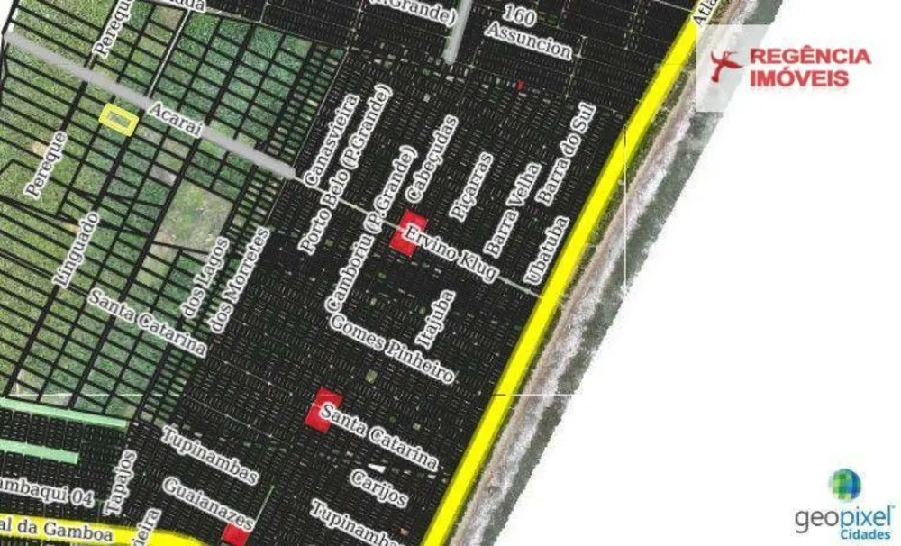 Terreno, 5000 m² - Foto 4