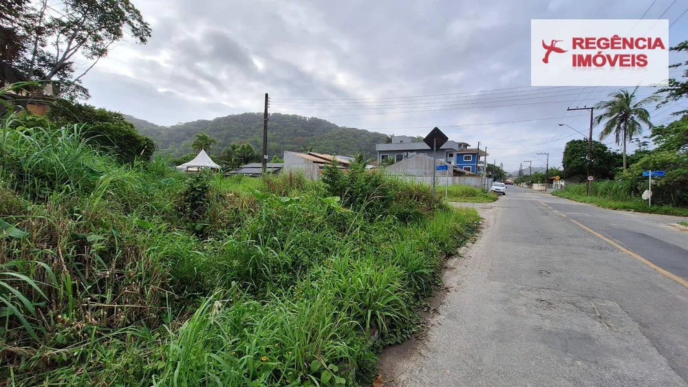 Terreno, 246 m² - Foto 6