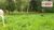 Terreno, 360 m² - Foto 3
