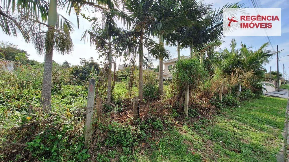 Terreno, 2607 m² - Foto 5