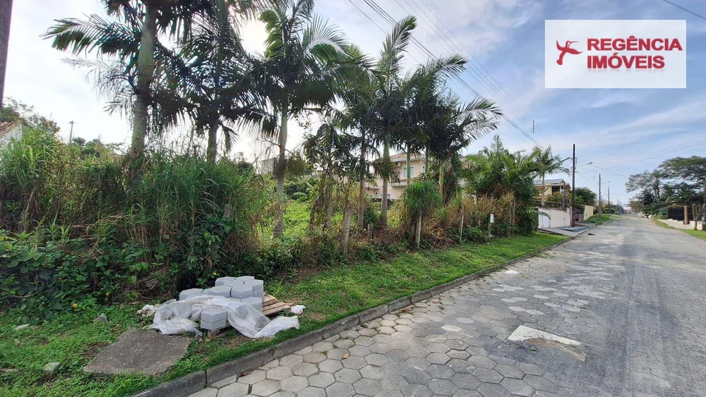Terreno, 2607 m² - Foto 6
