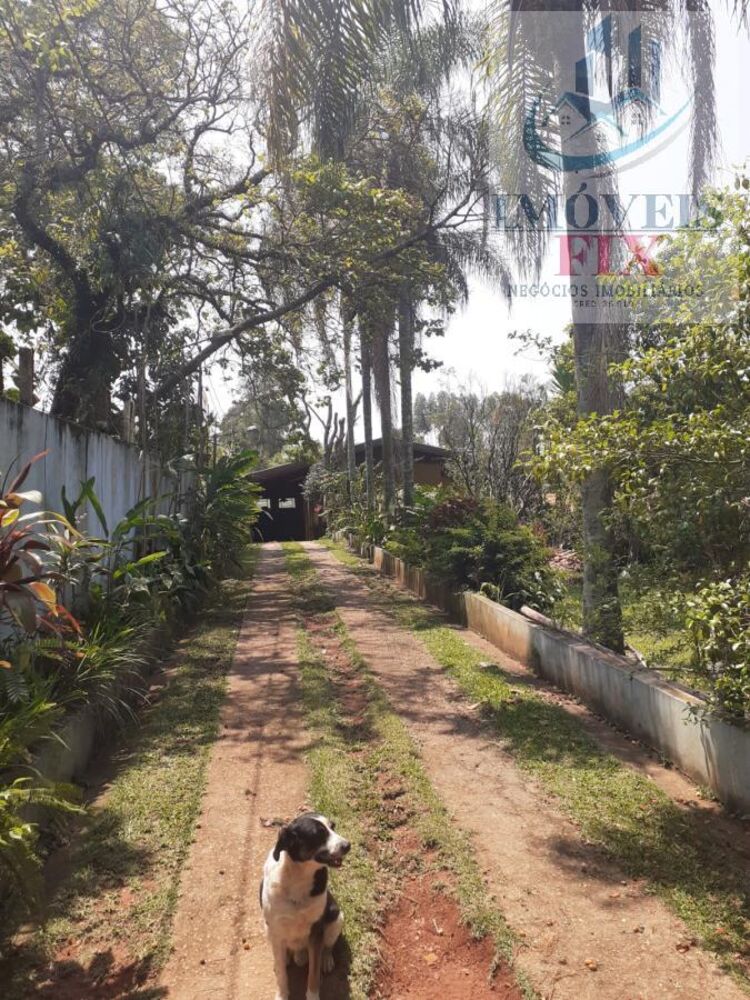 Chácara, 3 quartos, 2700 m² - Foto 4