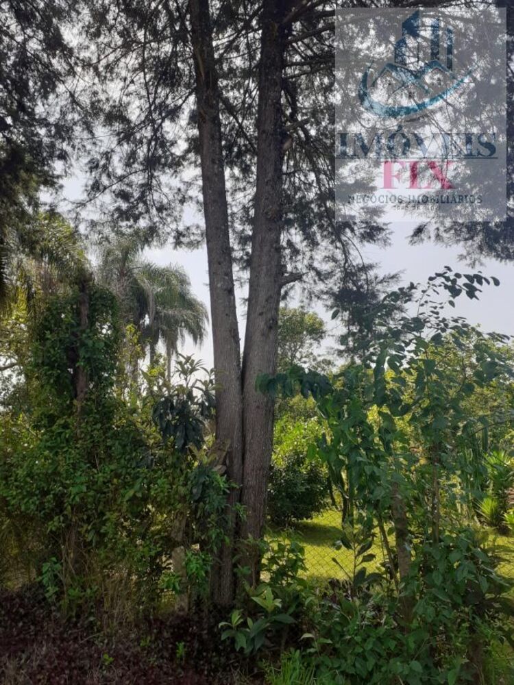 Chácara, 3 quartos, 2700 m² - Foto 24