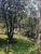 Chácara, 3 quartos, 2700 m² - Foto 5