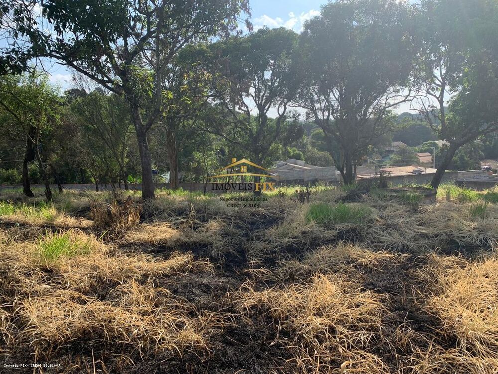 Terreno, 1175 m² - Foto 7