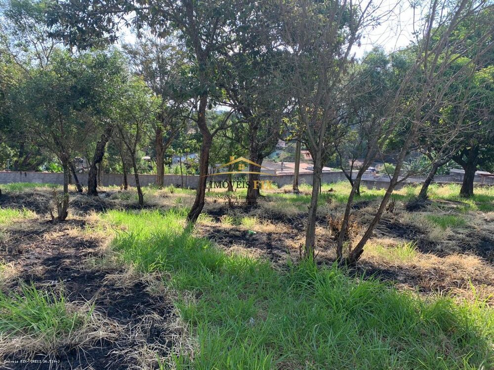 Terreno, 1175 m² - Foto 1