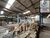 Depósito-Galpão, 16500 m² - Foto 6