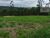 Terreno, 1249 m² - Foto 1