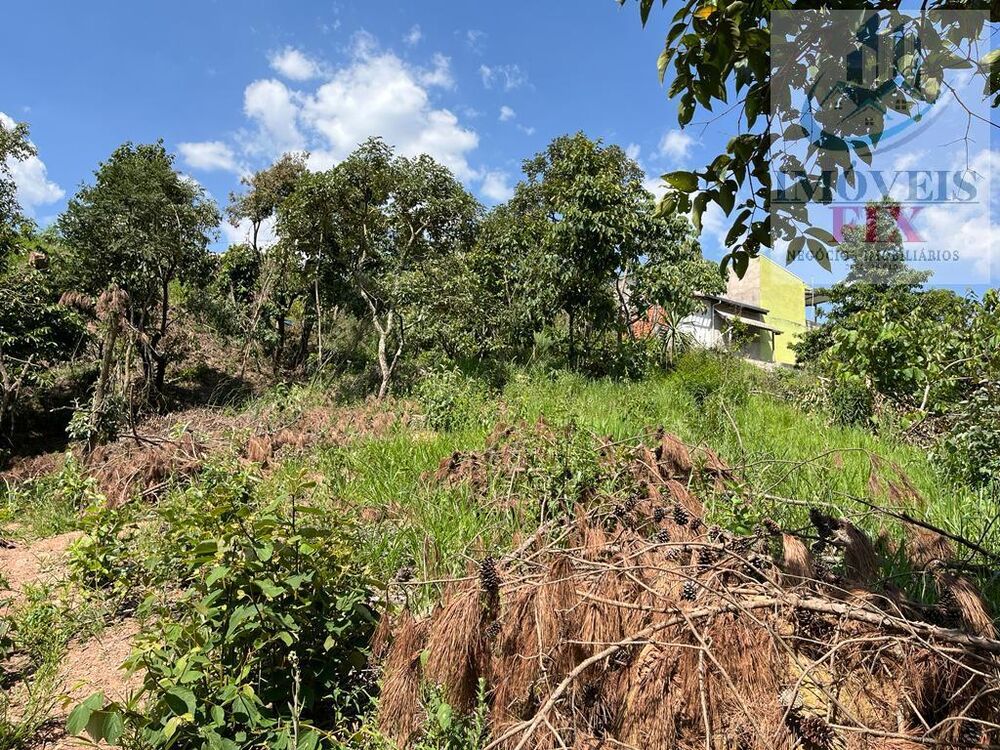 Terreno, 2150 m² - Foto 7