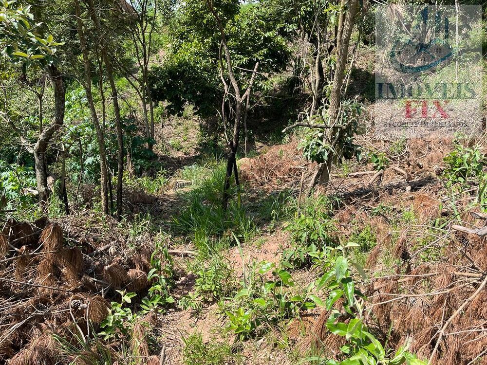 Terreno, 2150 m² - Foto 4