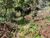 Terreno, 2150 m² - Foto 4