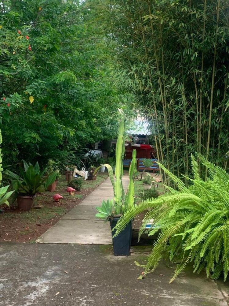 Chácara à venda com 3 quartos, 220m² - Foto 16