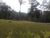 Sítio, 7 quartos, 5 hectares - Foto 6
