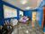 Chácara, 2 quartos, 2225 m² - Foto 3