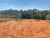 Terreno, 2066 m² - Foto 1