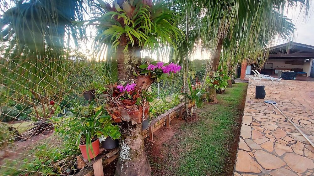 Chácara, 2 quartos, 3810 m² - Foto 19