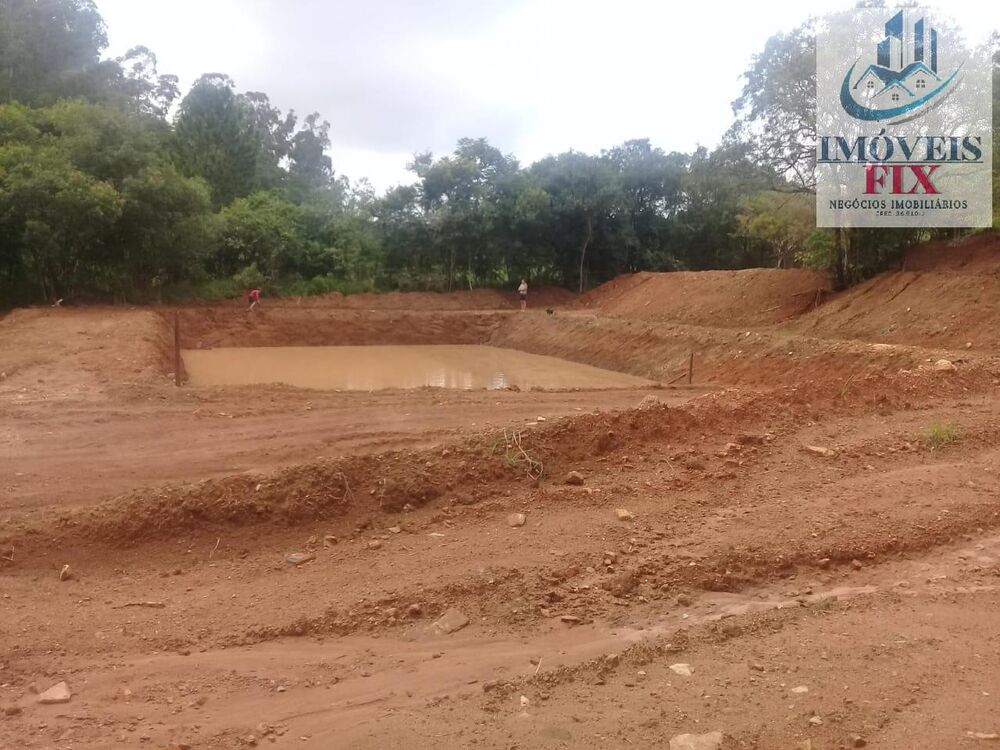 Sítio à venda com 8 quartos, 49000m² - Foto 3