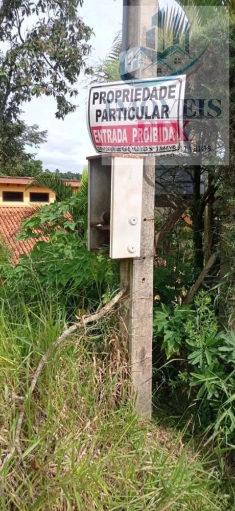 Terreno, 2925 m² - Foto 4