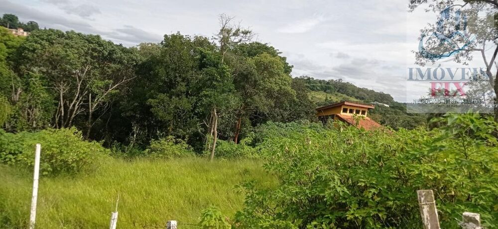 Terreno, 2925 m² - Foto 3