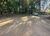 Terreno, 5 hectares - Foto 4