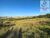 Terreno, 5 hectares - Foto 2