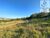Terreno, 5 hectares - Foto 1