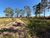 Terreno, 1 hectares - Foto 6