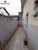 Casa, 4 quartos, 290 m² - Foto 4