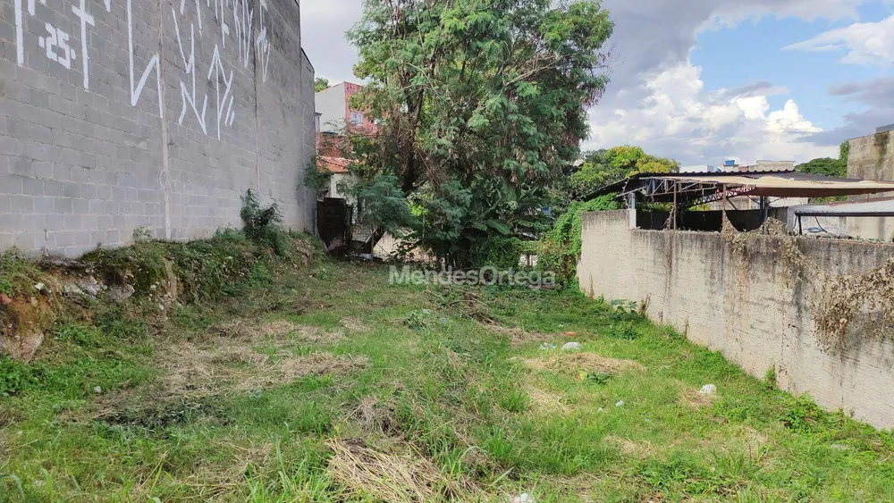 Terreno, 250 m² - Foto 3